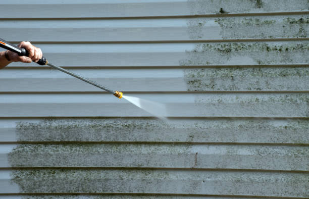 Best Concrete Surface Cleaning in Bastrop, TX